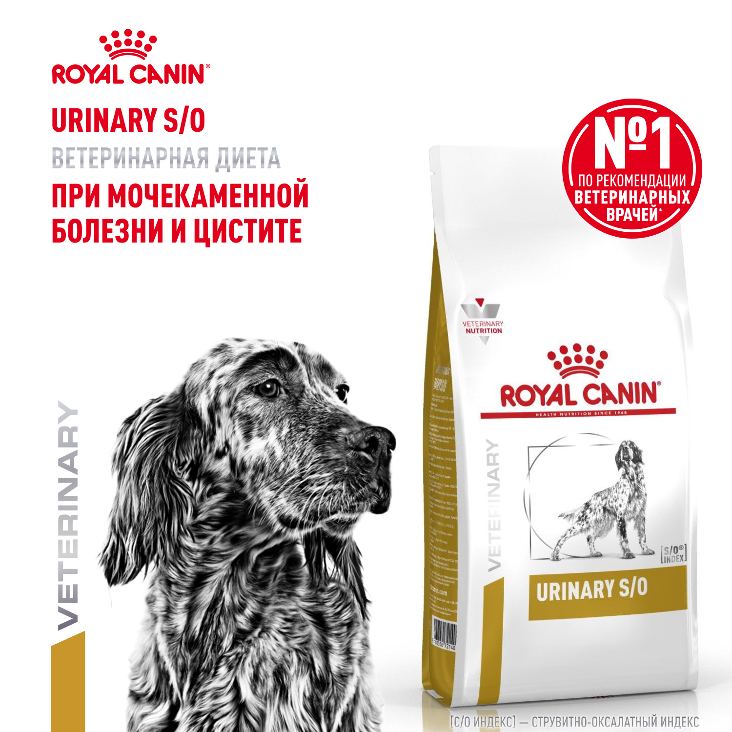 01_0_Dog_Urinary_SO_Dry14