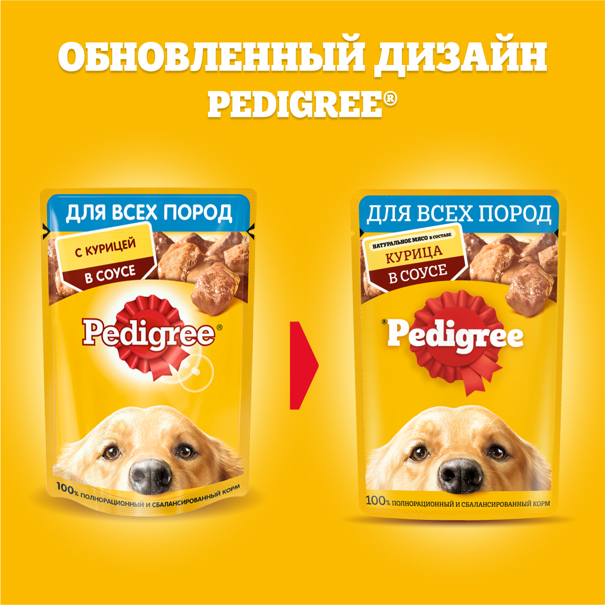 Влажный, для всех, курица