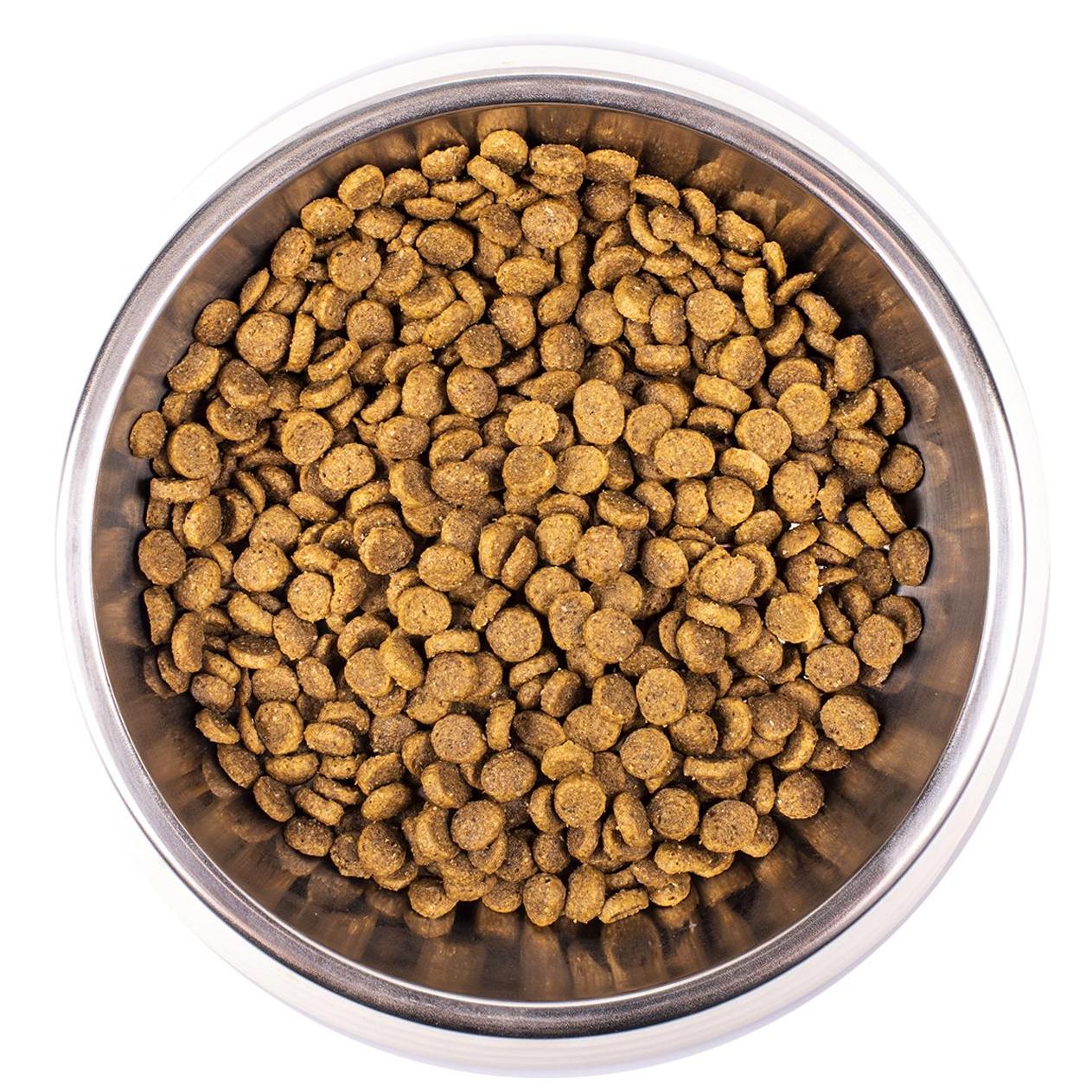 korm-dlya-kotyat-monge-cat-10-kg-kuritsa (2)