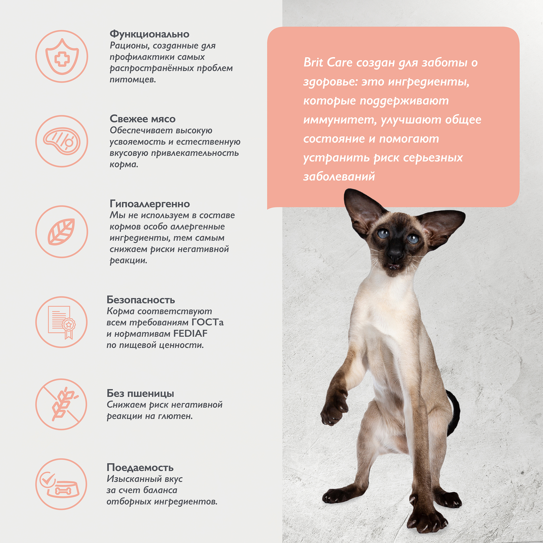 cat_sensitive_healthy_digestion-03