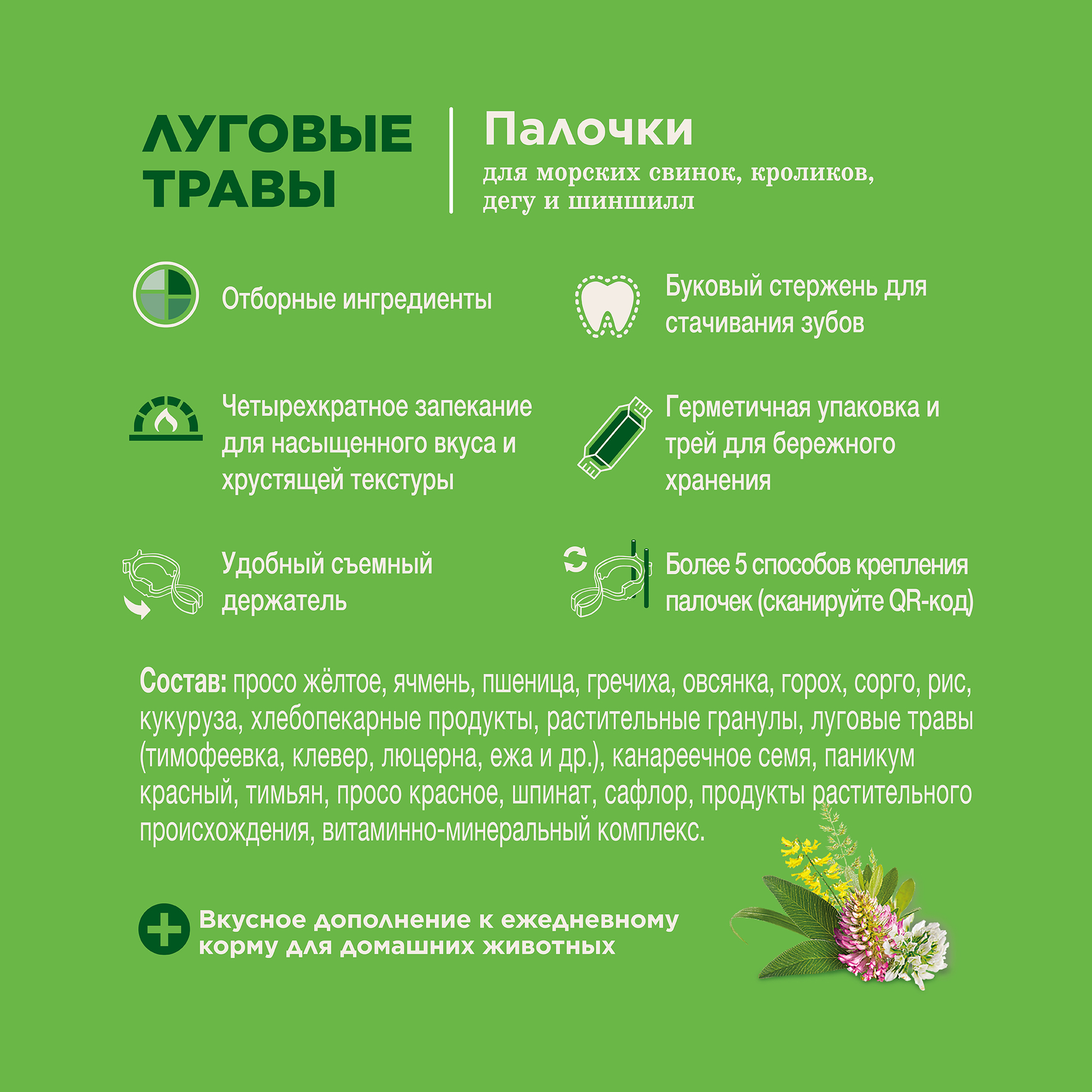 Little One_sticks_guinea pigs_meadow grass_plus