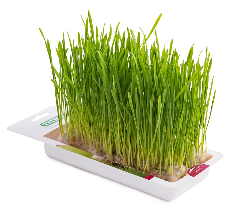 f137f33f-7ee9-49d2-a299-c6661bfbe4a7_008e9a22-bc6c-11eb-80fe-0cc47aabafc3.resize1