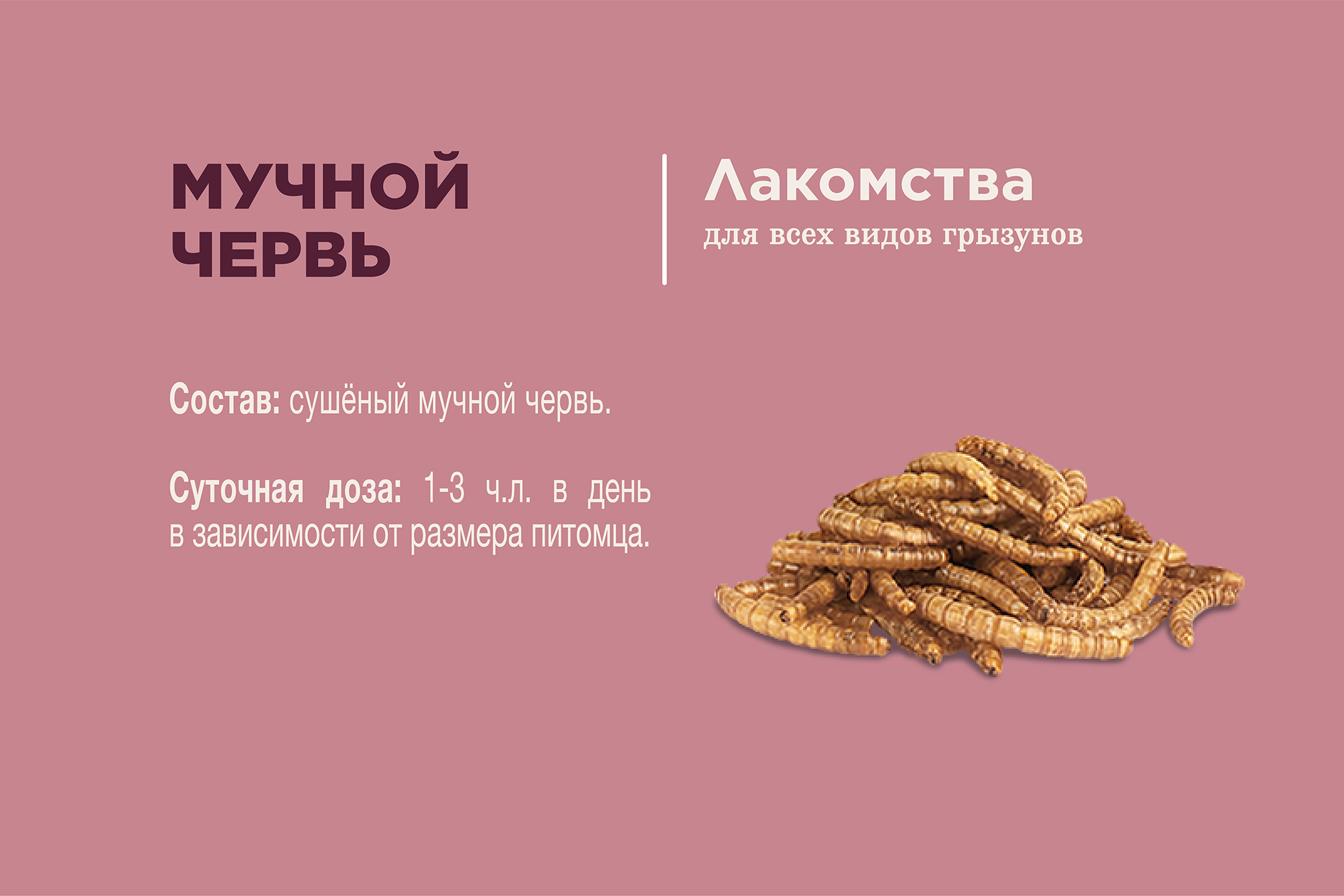 Little One_snack_mealworms_plus