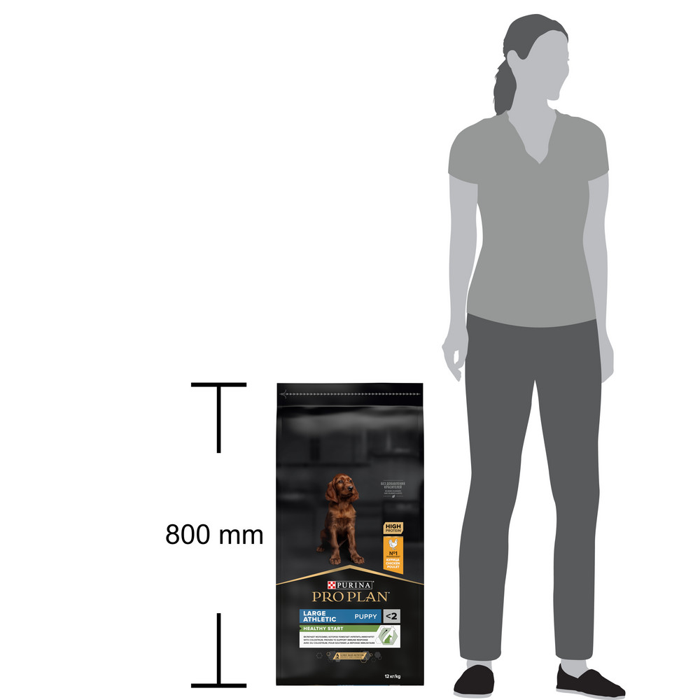 ce899d6b-7a85-4f01-9f3e-714cc96380fd