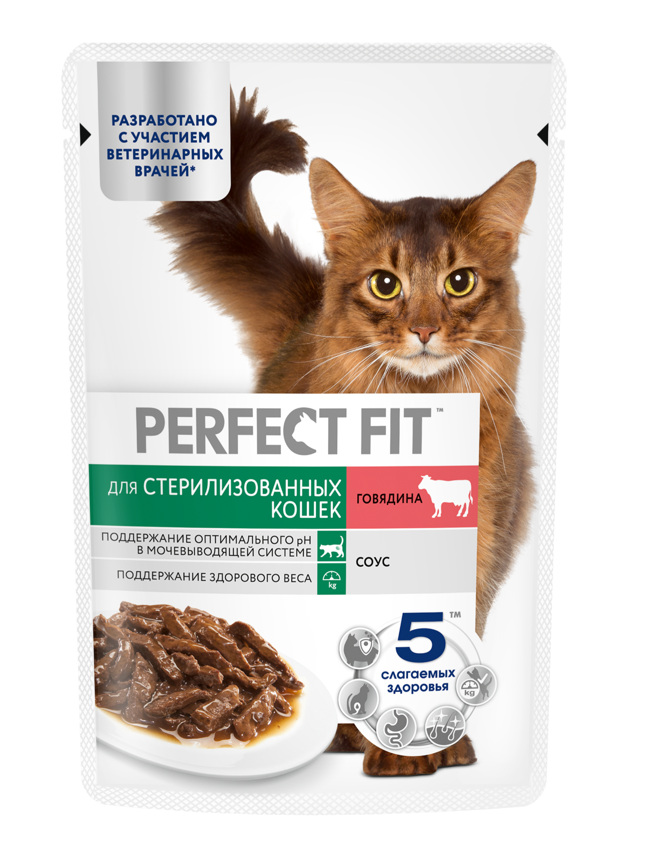 PerfectFit_WET_34_DCOMM_2025.06.16_Wet_Sterile_Beef_CIG_75g_Pauch