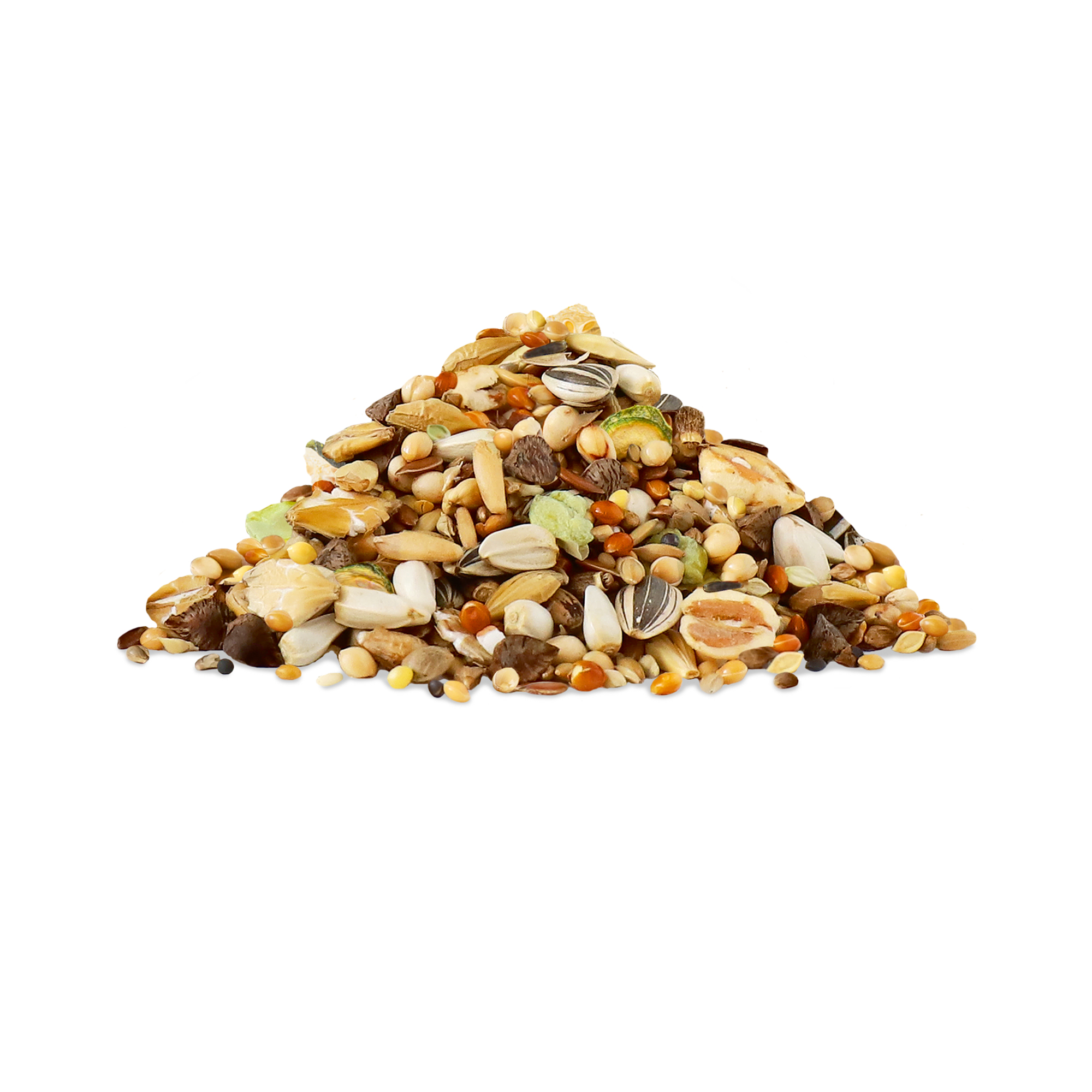 Little One_feed_dwarf hamsters_show