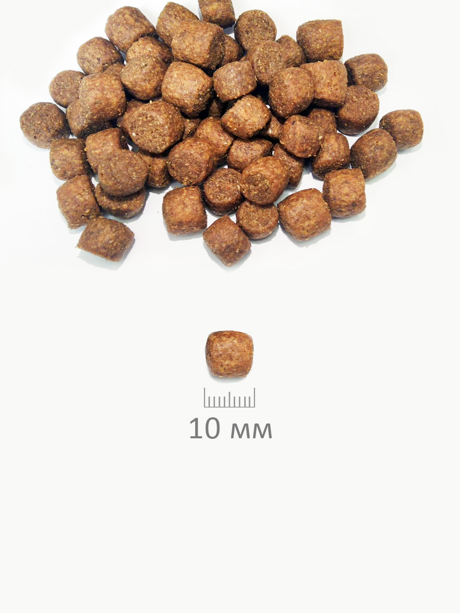 4640011982498_7_Puppy