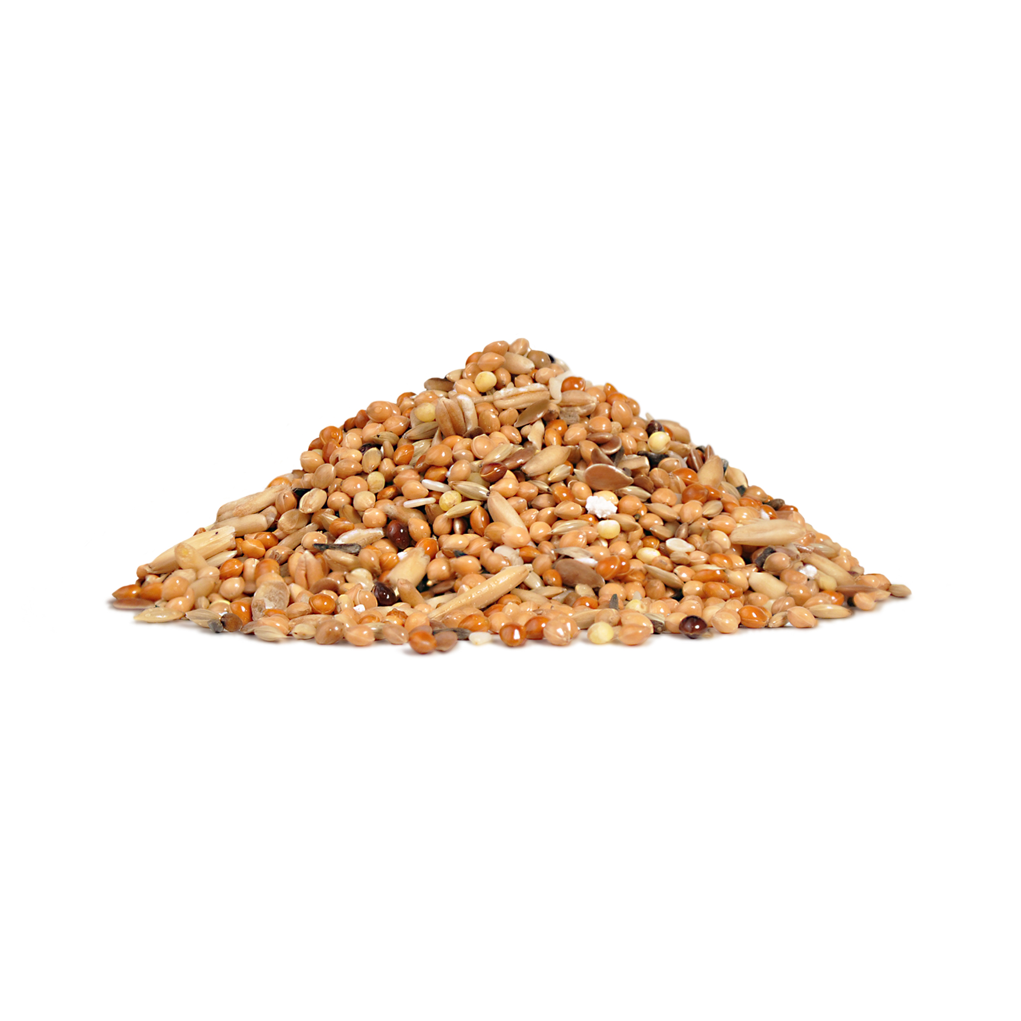 RIO_feed_budgies_mp_show