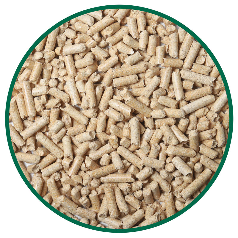 good-16053e2b-fc2b-11eb-bb98-1866da6865b2