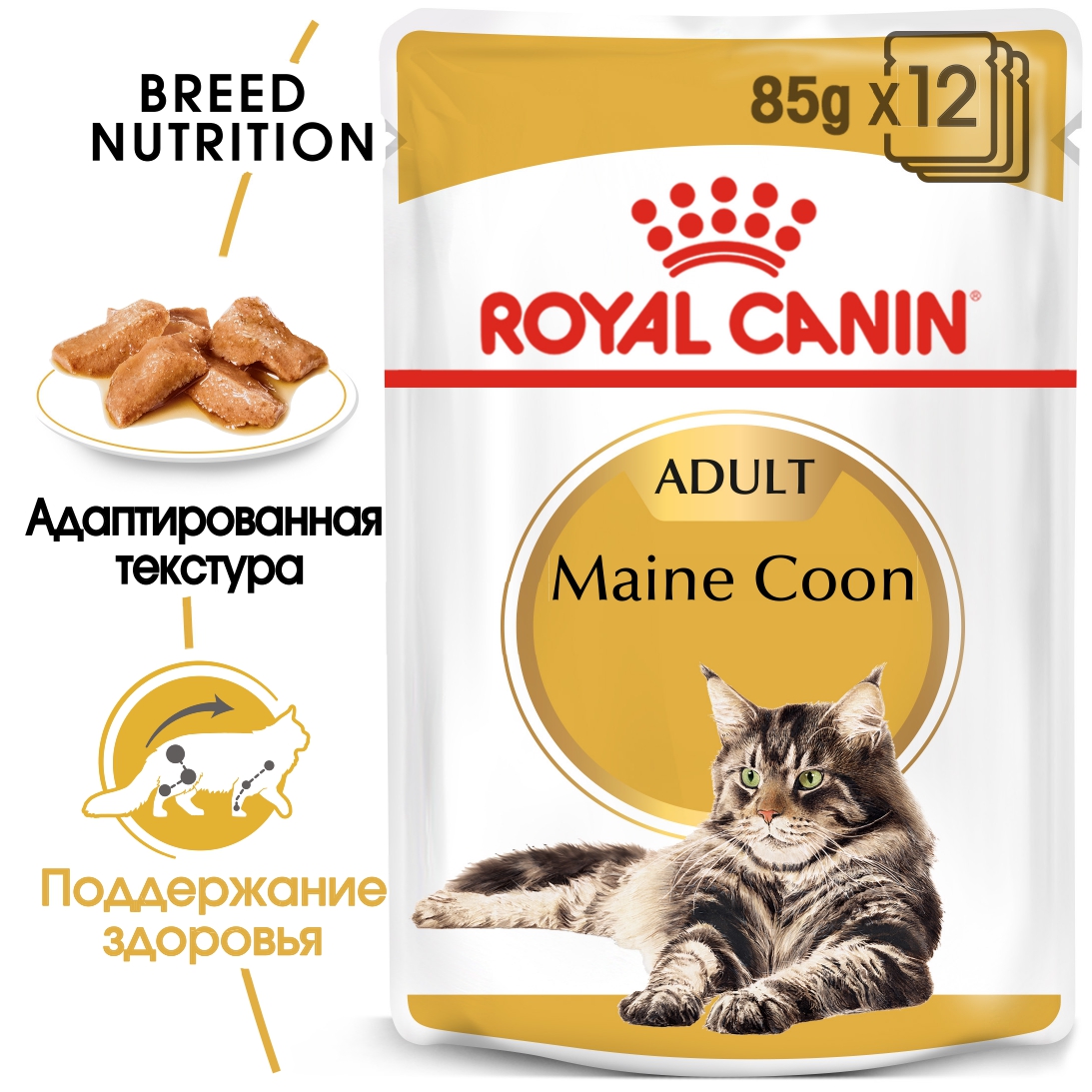 RC-FBN-Wet-MaineCoon-MV-Eretailkit_-ru_RU_page-0001
