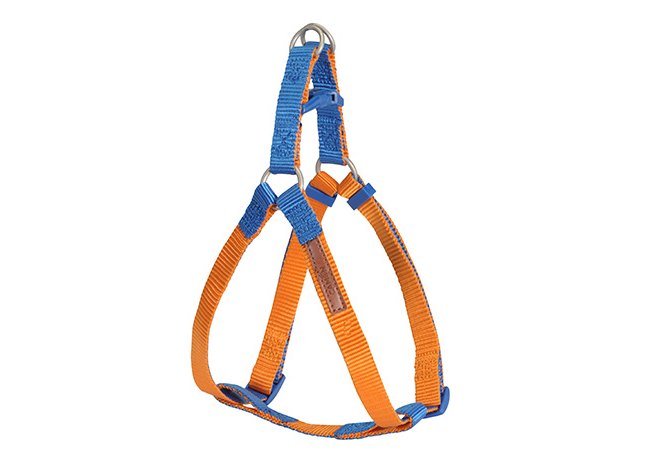 Camon шлейка регулируемая двухцветная, 25x600-1000 мм оранжевая, синяя