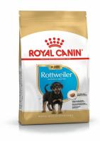 pu-rottweiler-packshot-bhn18