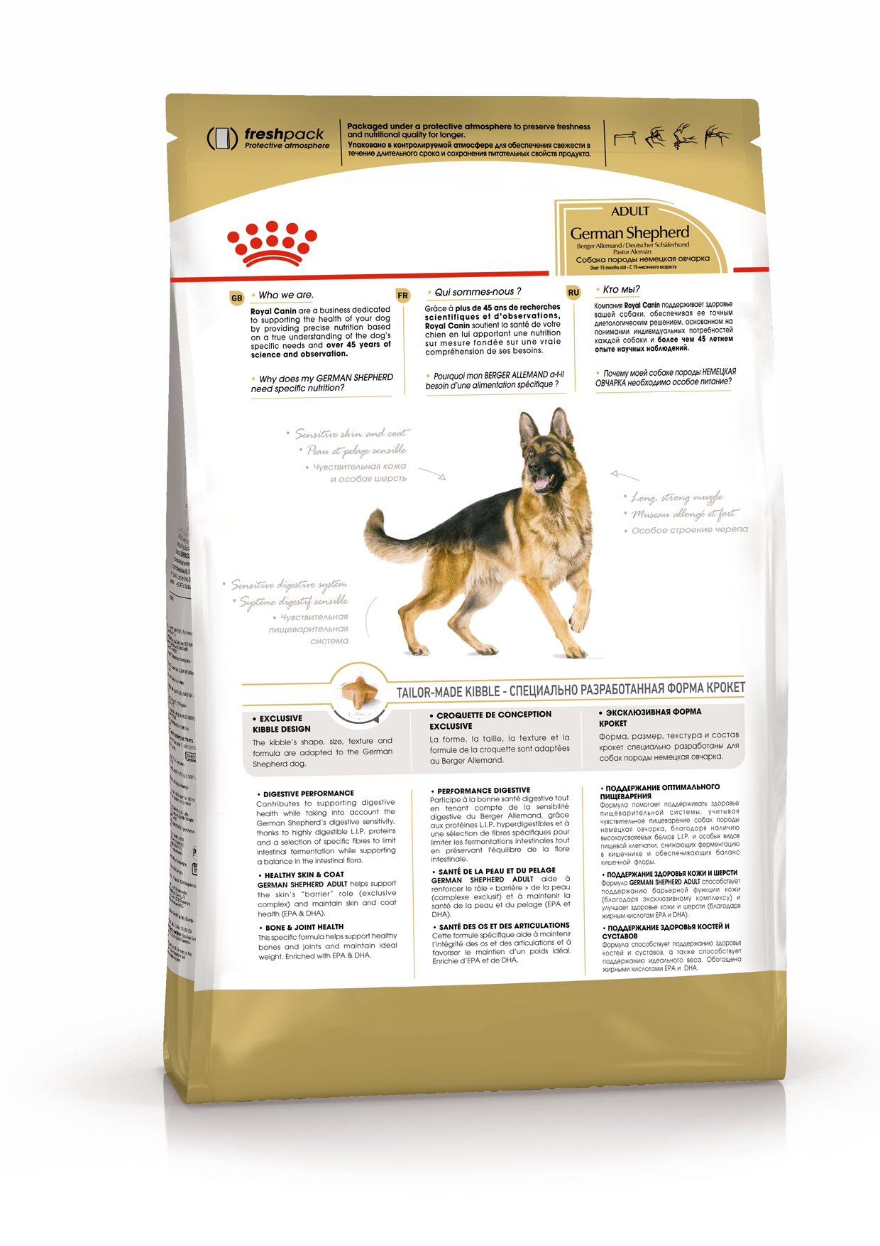 K_German Shepherd_back