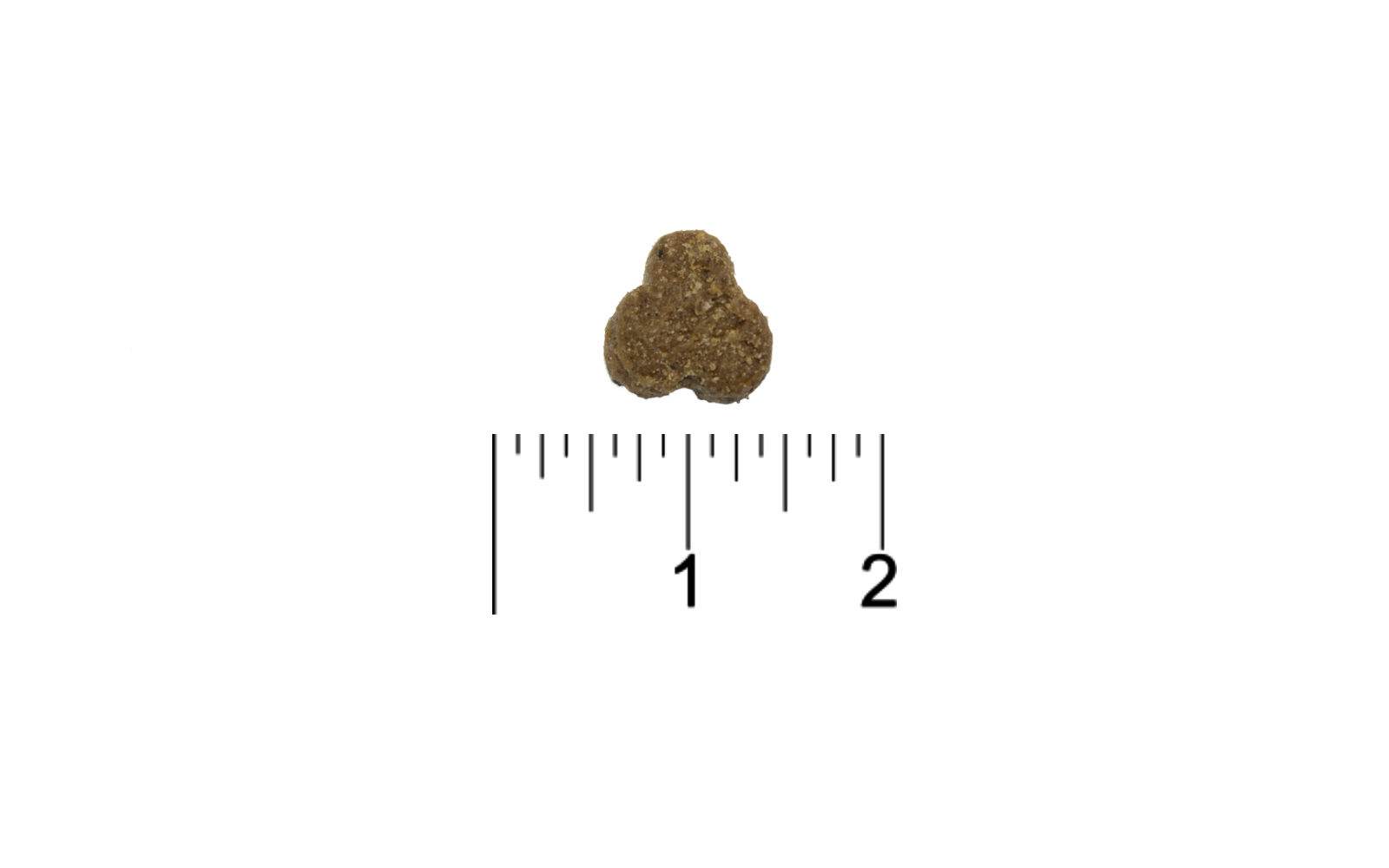 379c72f3738693286a364dbc8ce76c11