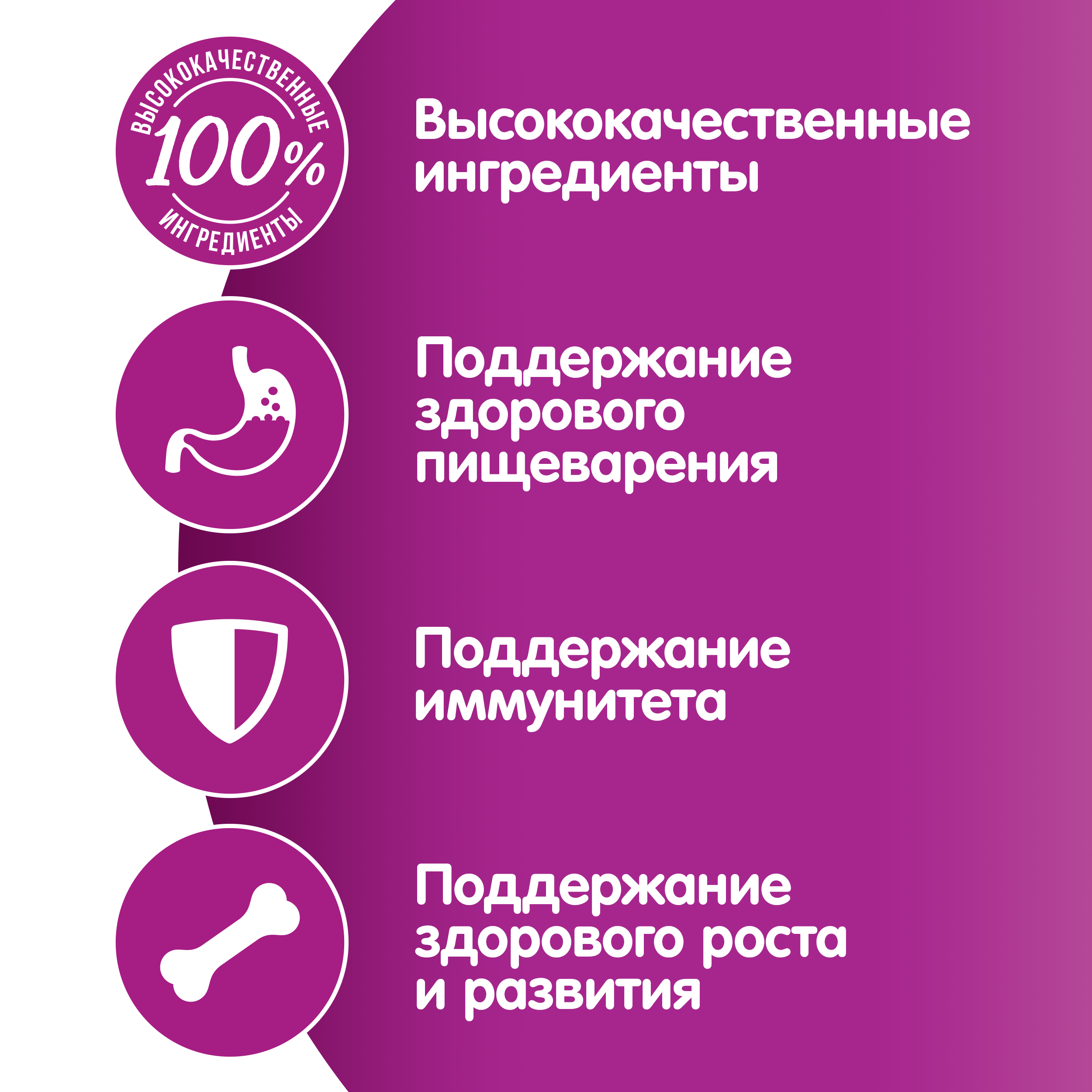 Whiskas влажный корм для котят, рагу с курицей (28шт в уп) / 75 гр