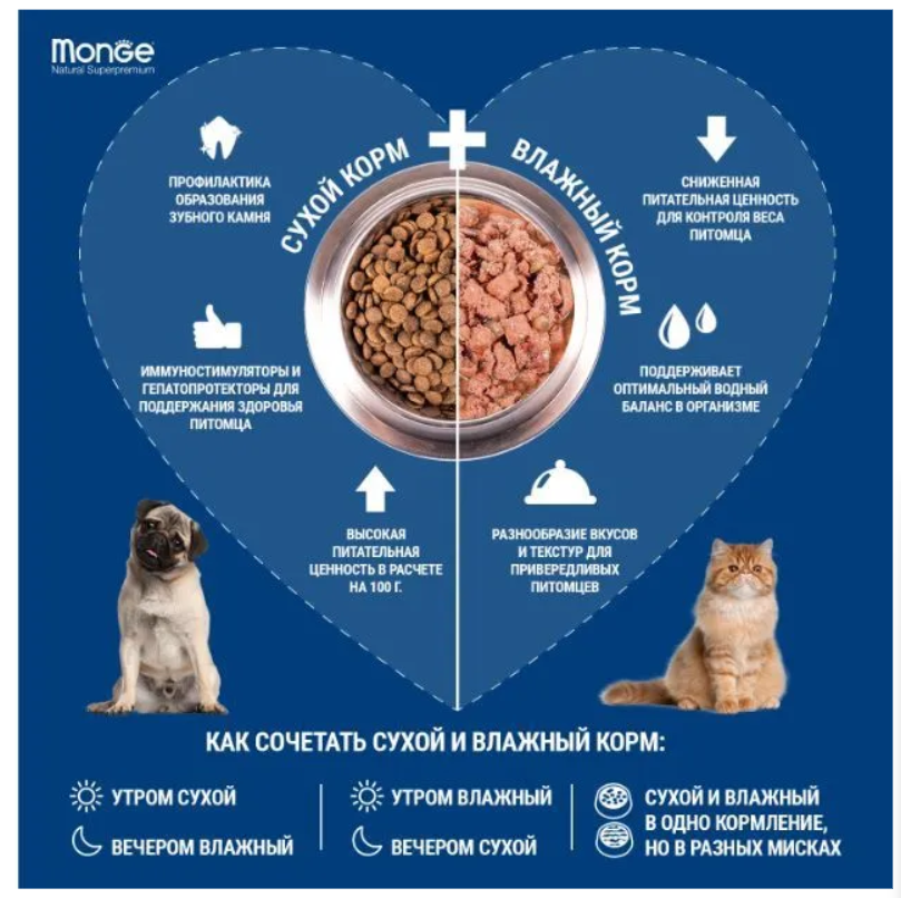 Снимок экрана 2023-08-09 132643