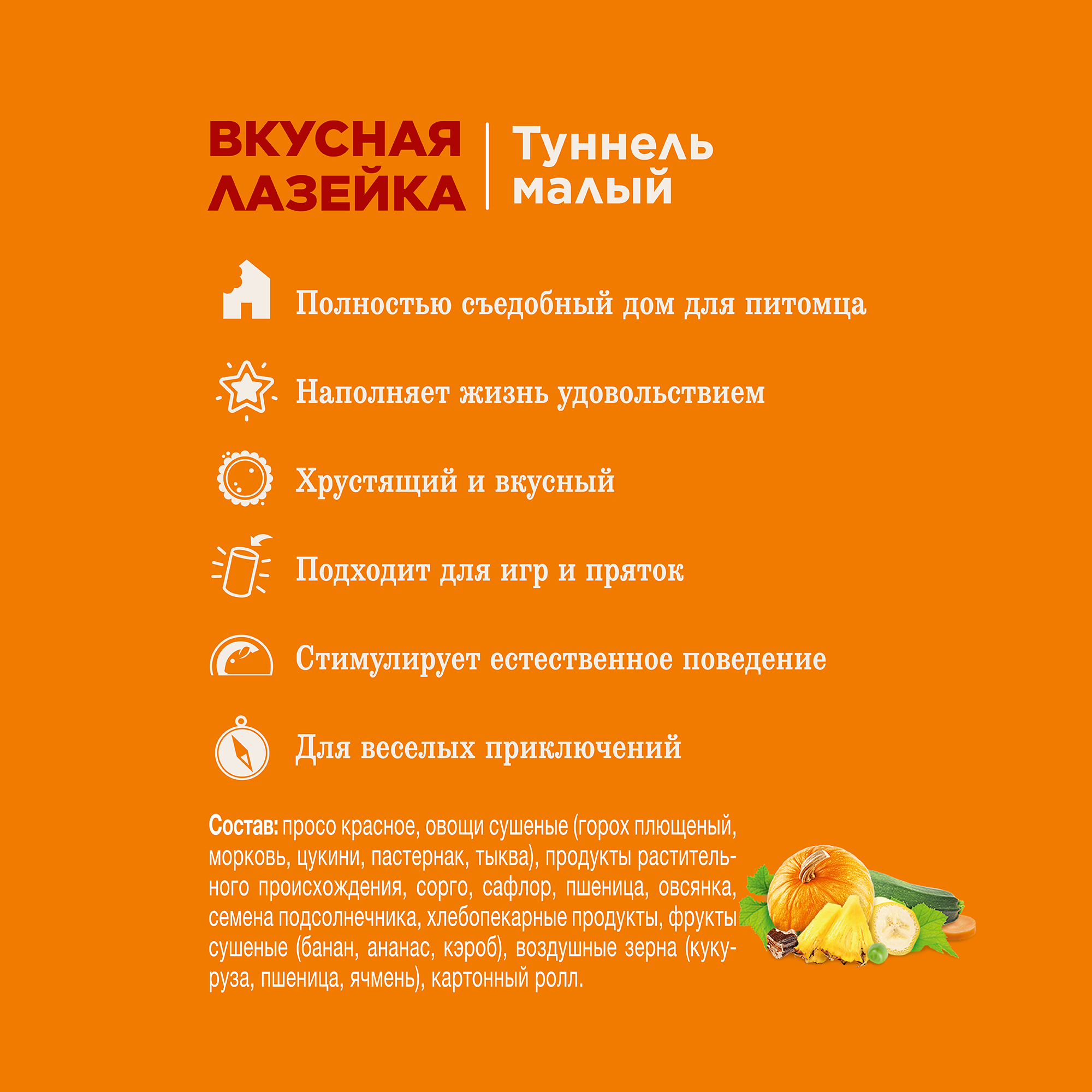 Little One_tunnel small_plus