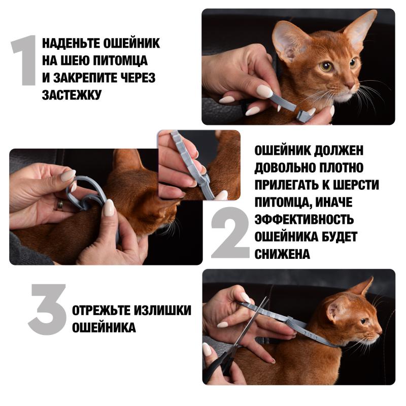 Rolf-Club3D_ОшейникКошки_3