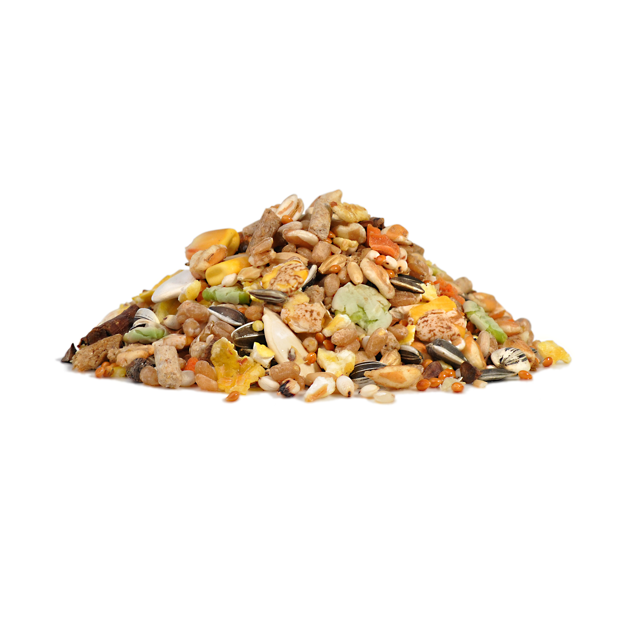 Little One_feed_hamsters_show