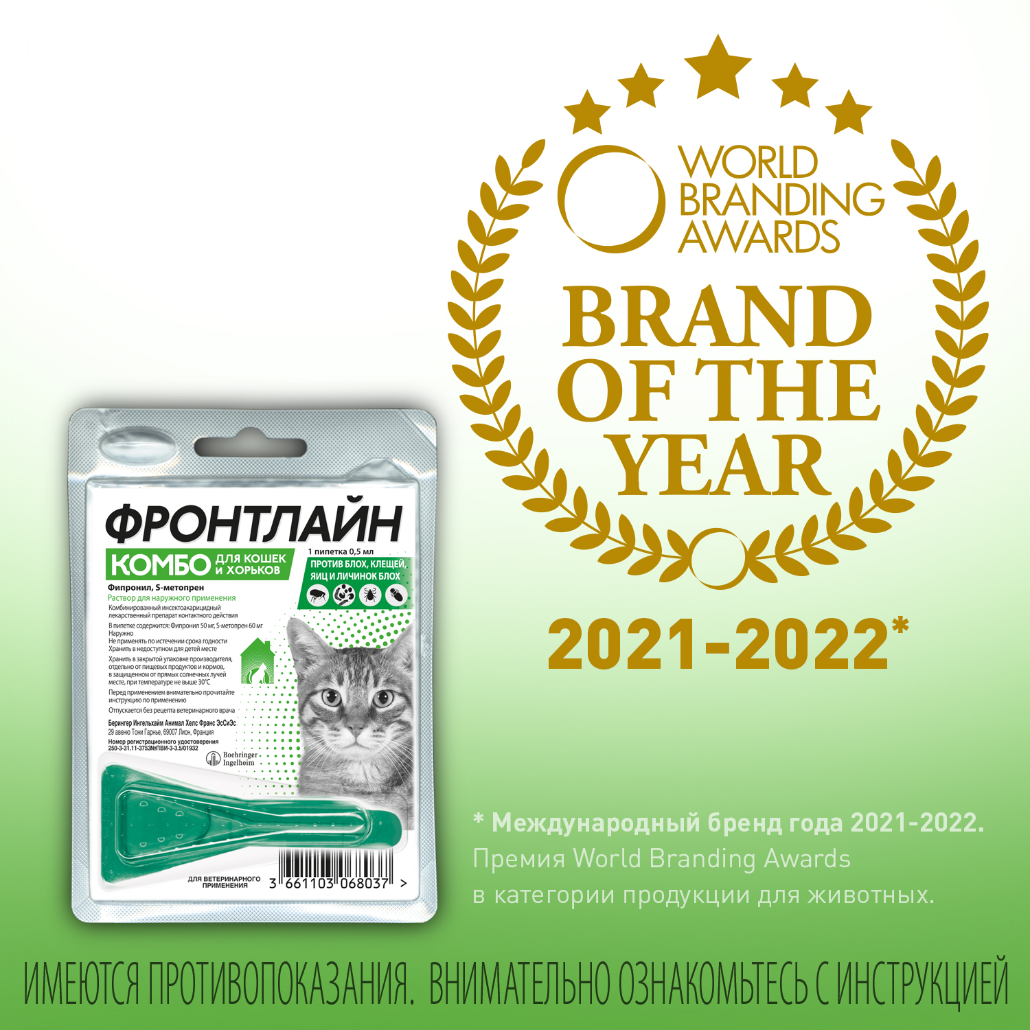 FCombo cats.gall 3 new