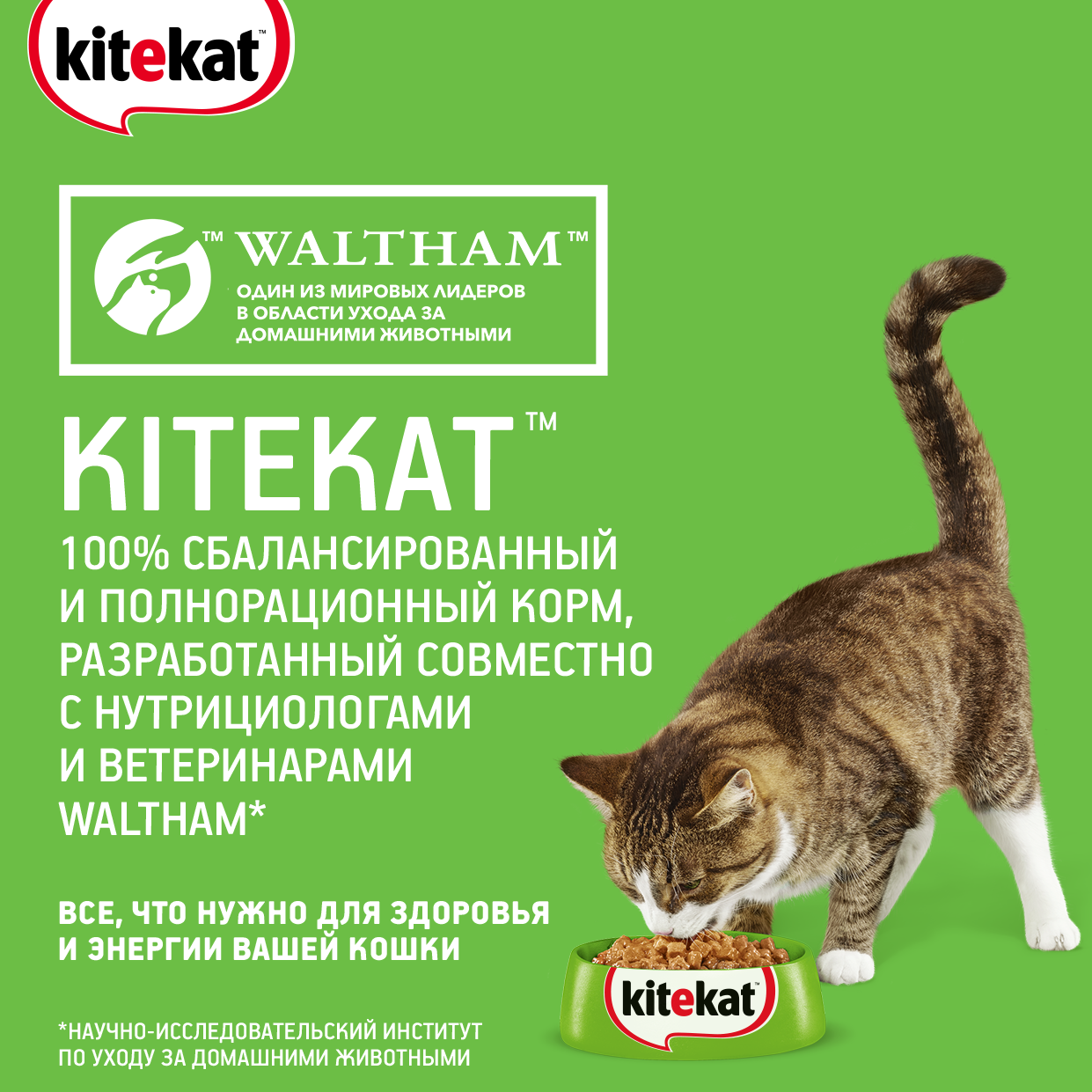 Kitekat влажный корм для взрослых кошек всех пород, ягненок в соусе (28шт в уп) / 85 гр