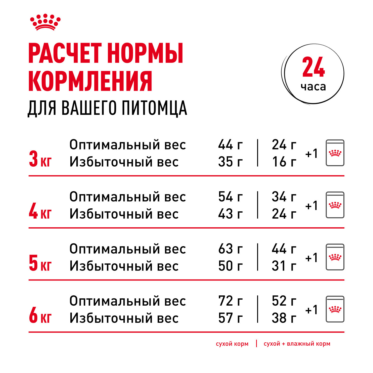 10 (6)
