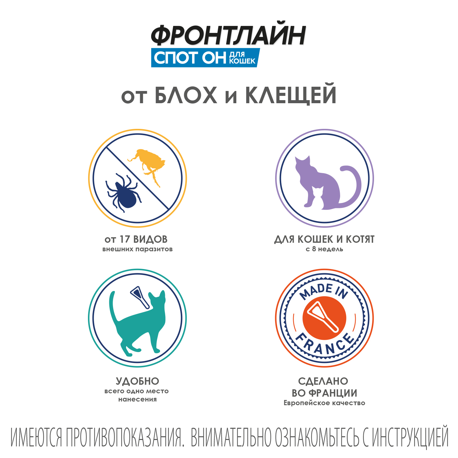 FSpot-on cats gall 1 new