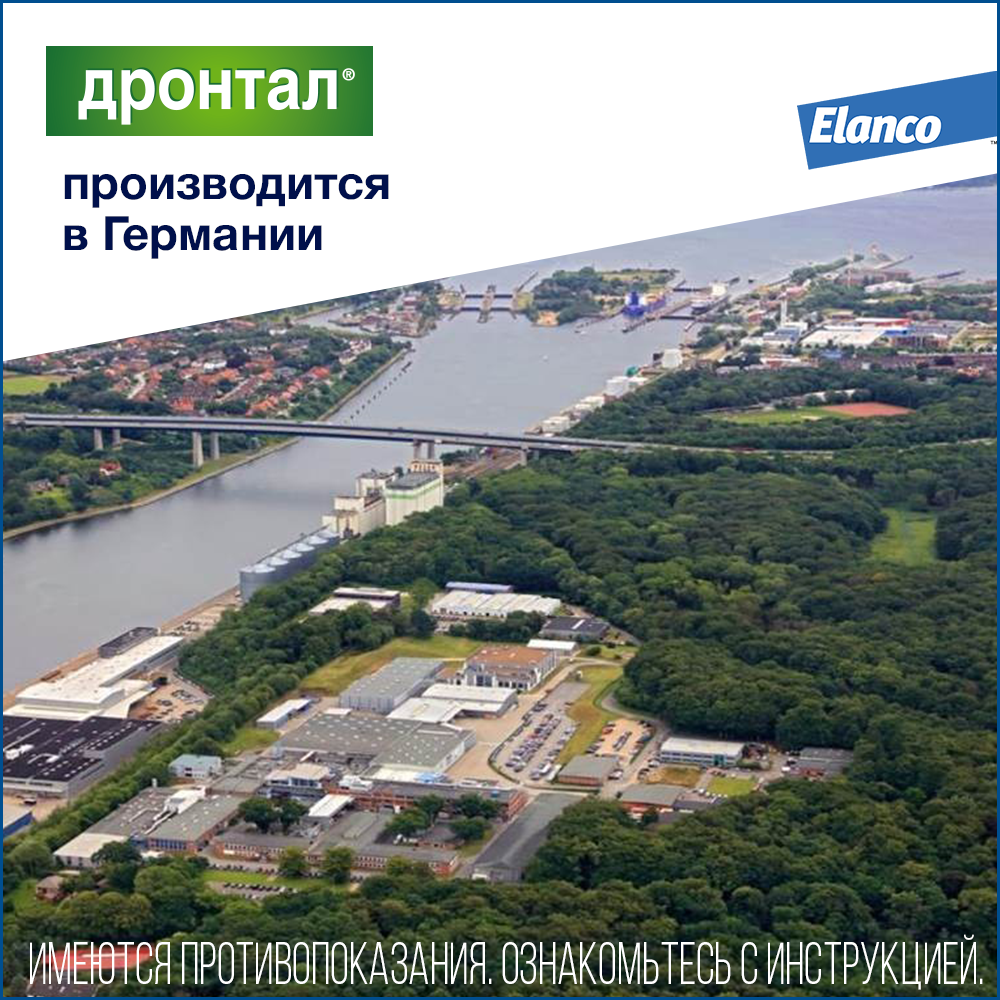 7. Drontal cats_Germany