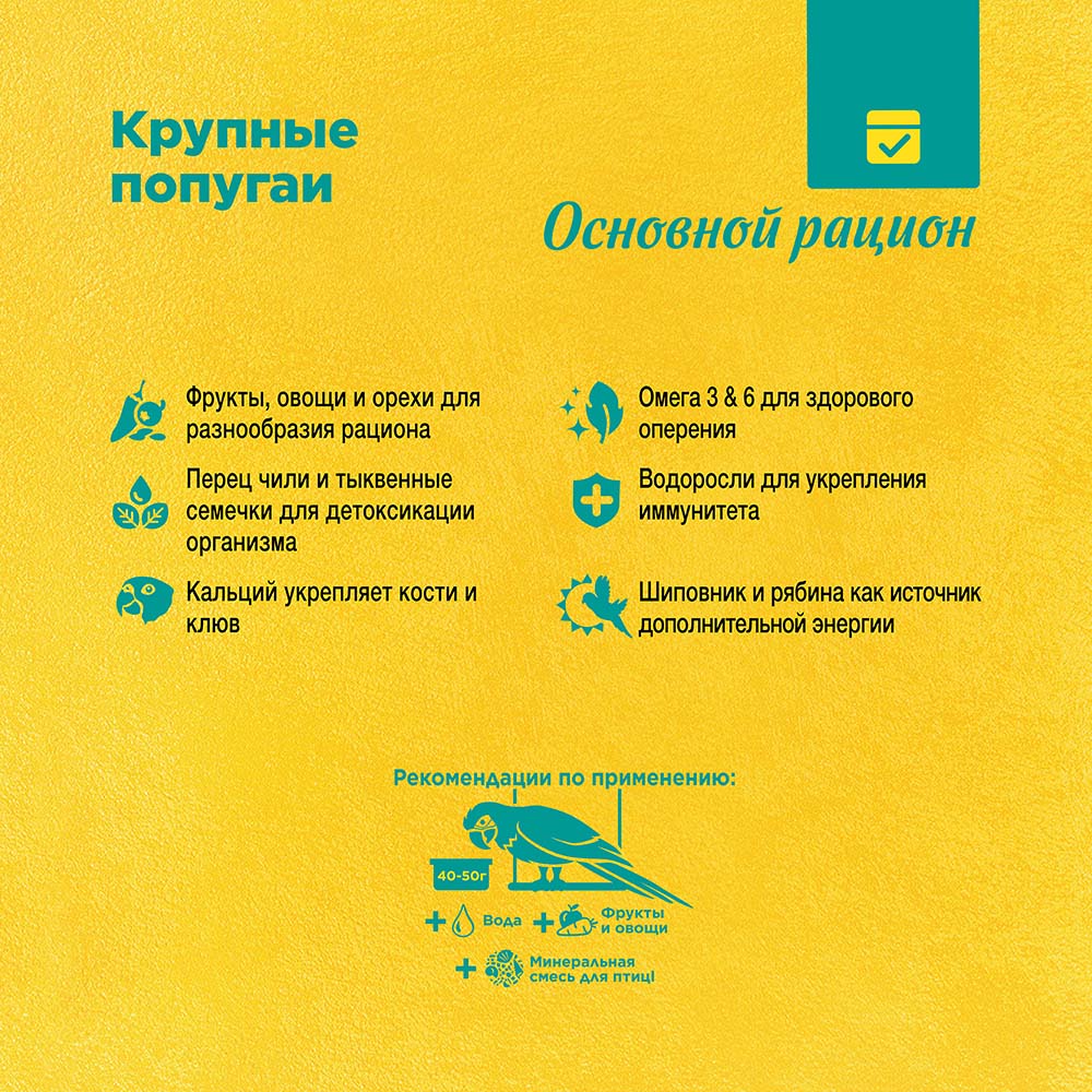 RIO_feed_parrots_plus