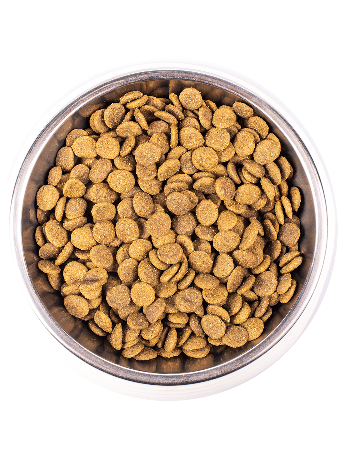 Monge Cat корм для взрослых кошек всех пород, курица / 10 кг