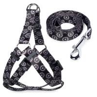 441c499b0cce42c5d5185473c2cd2c2c58168ec6