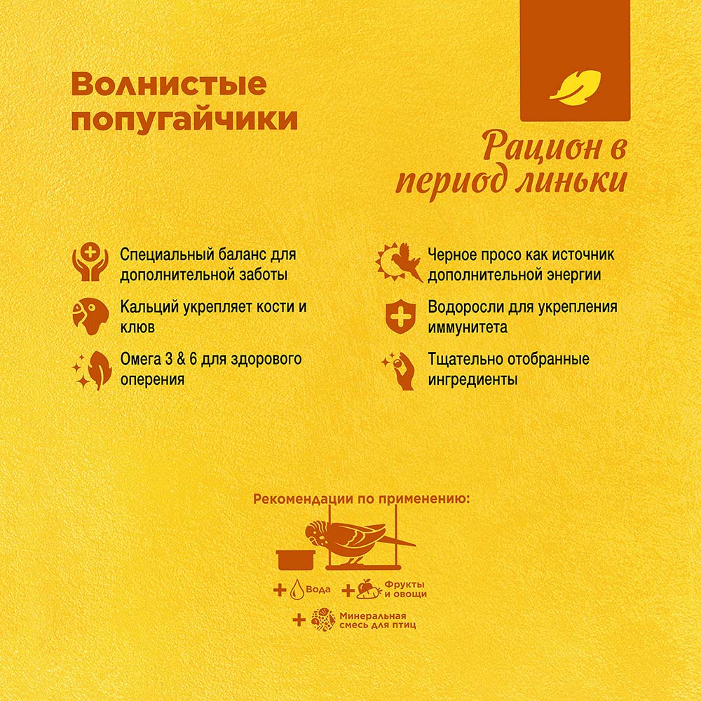 RIO_feed_budgies_mp_plus