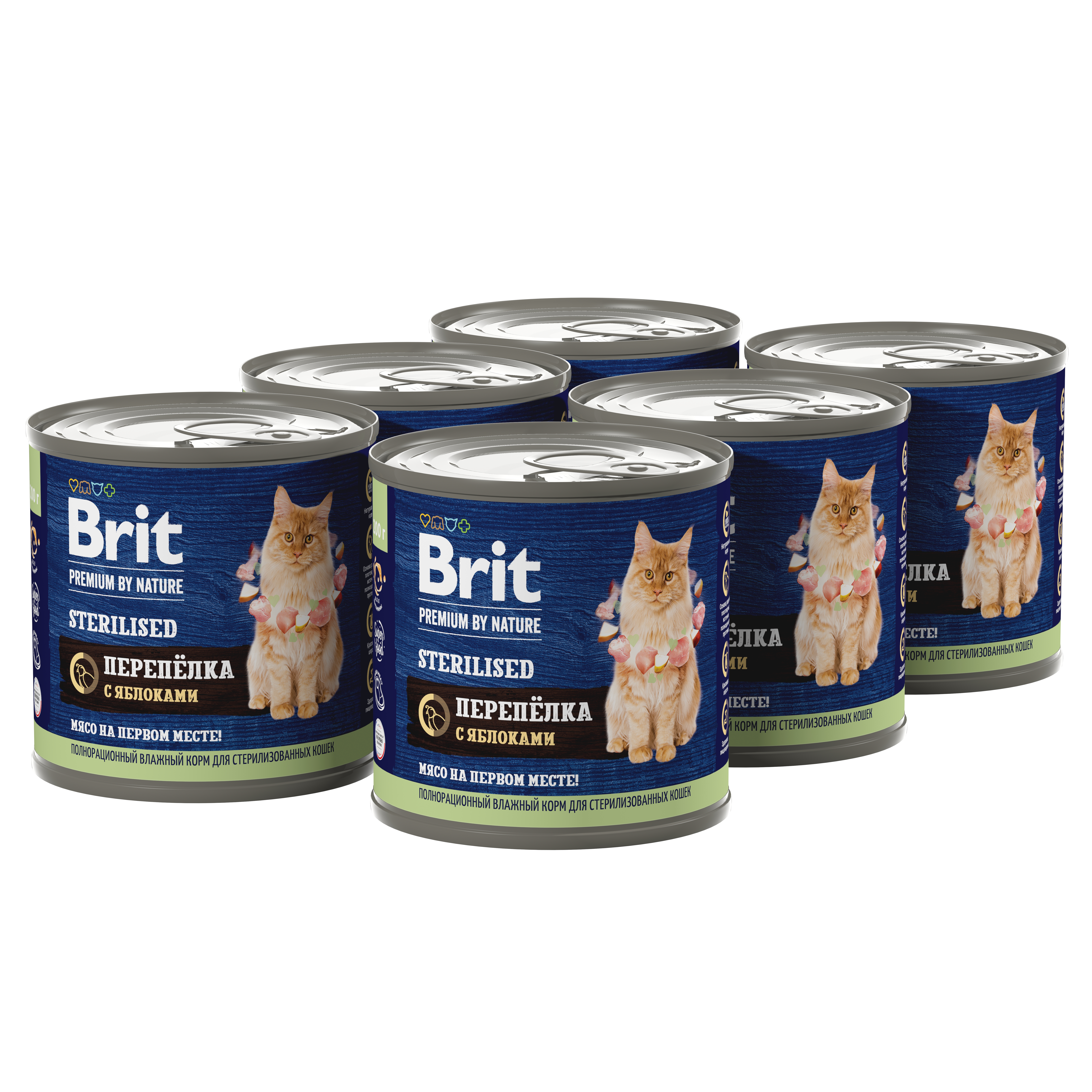 Perepelka-s-yablokami группа