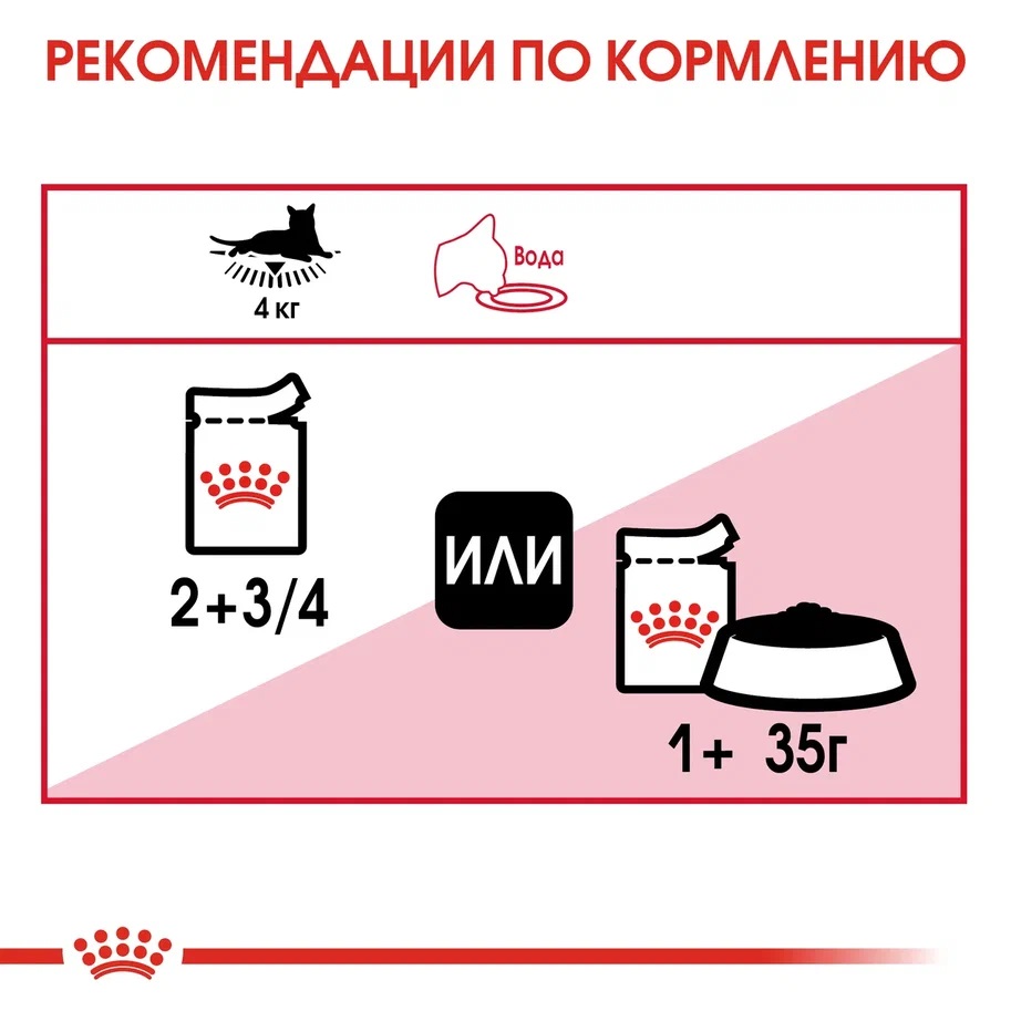 7_RC-FHN-Wet-InstinctiveGravy-CV-Eretailkit-4__ph