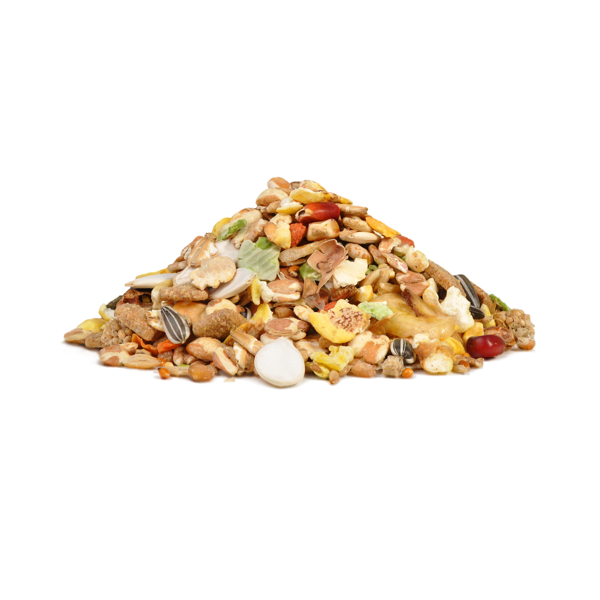 Little One_feed_gerbils_show