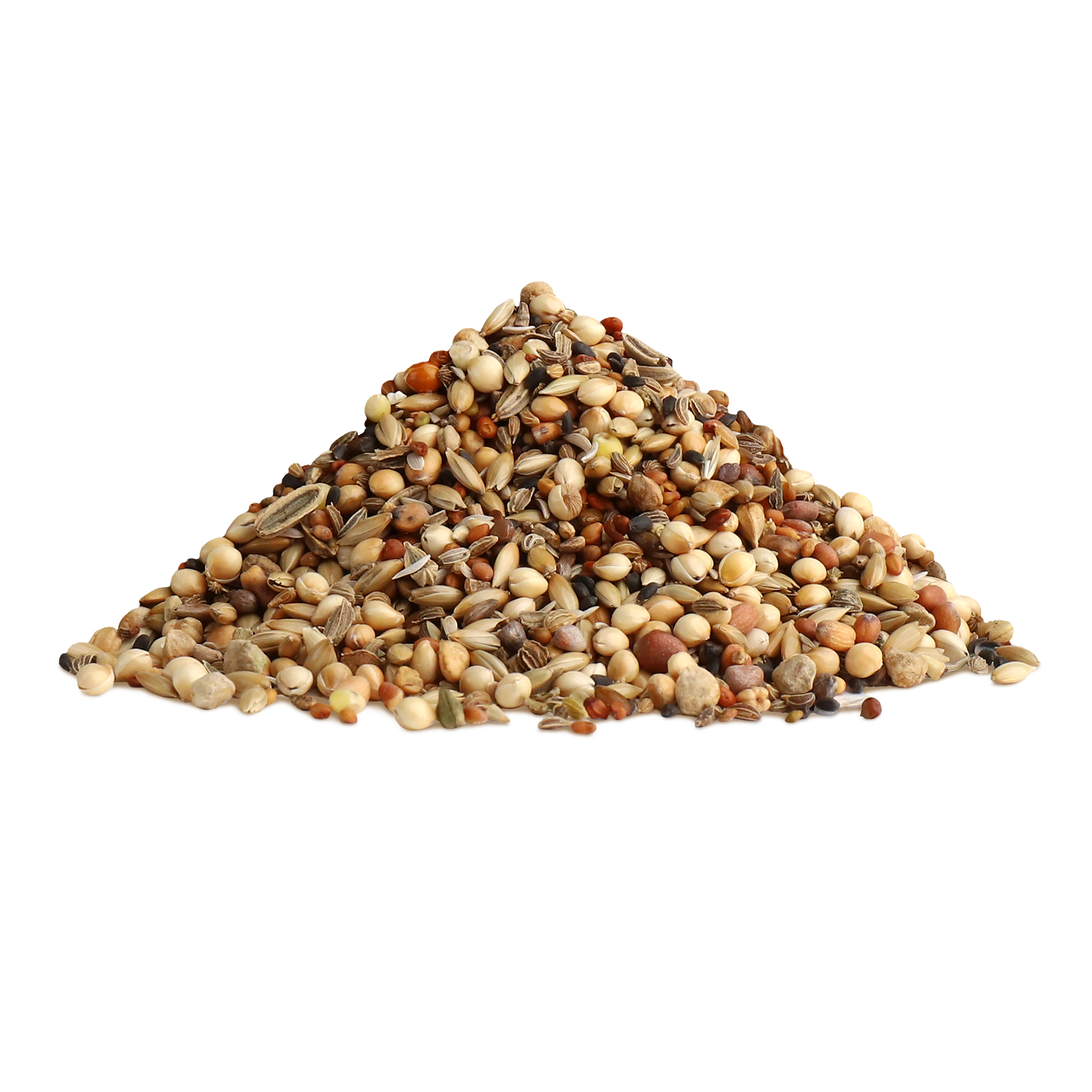 RIO_healthy seeds_show