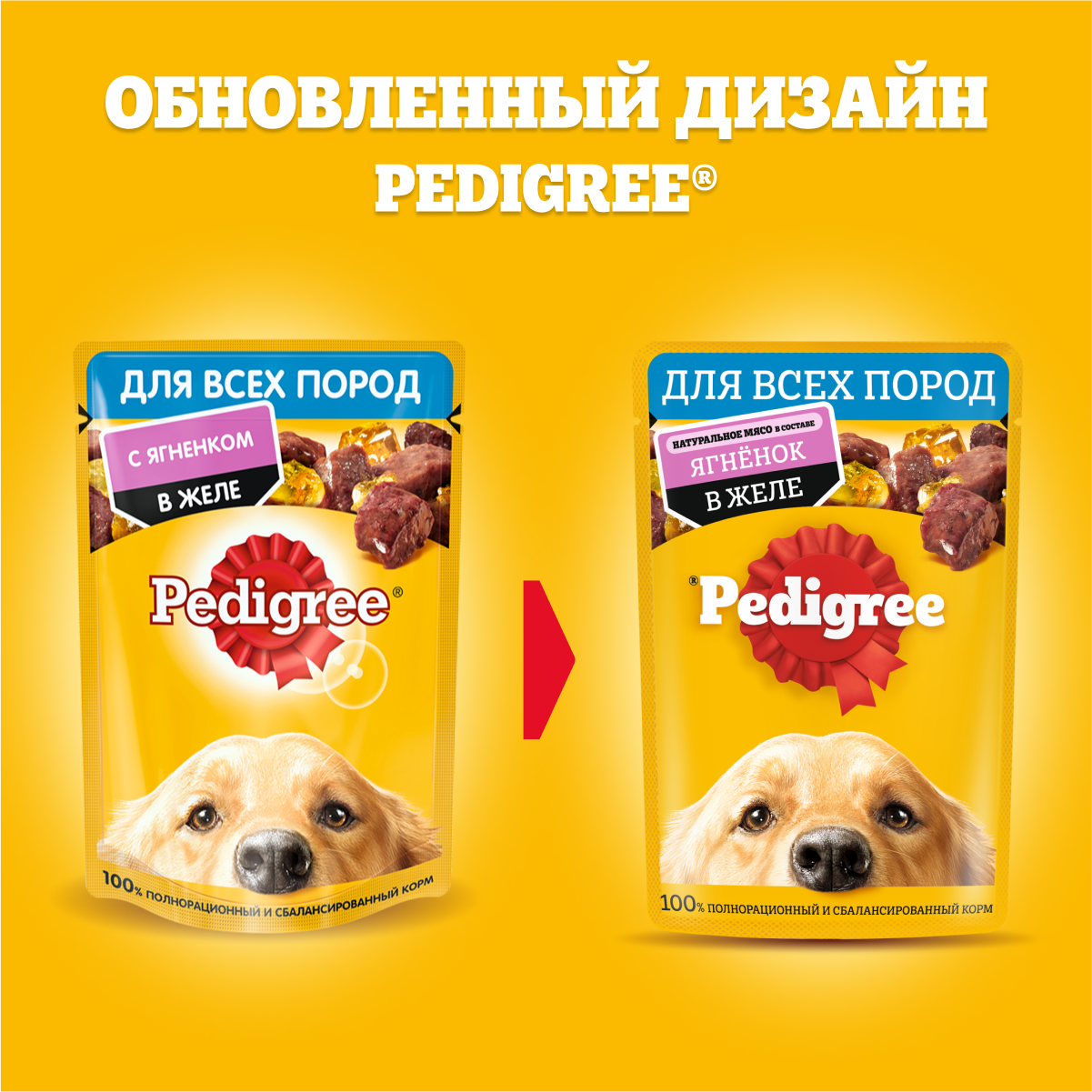 Влажный, для всех, ягненок