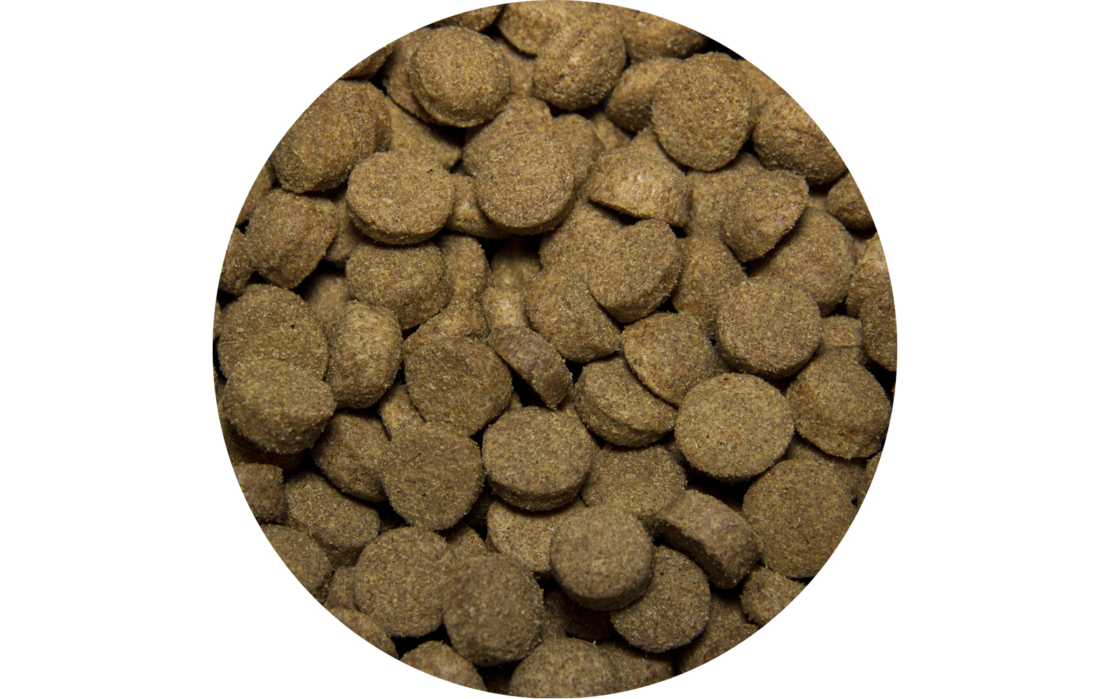 17e99b69db75a175862ba2d45bc4a2bd