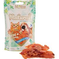 78fe2d387e37451048c7a264afcd4f43