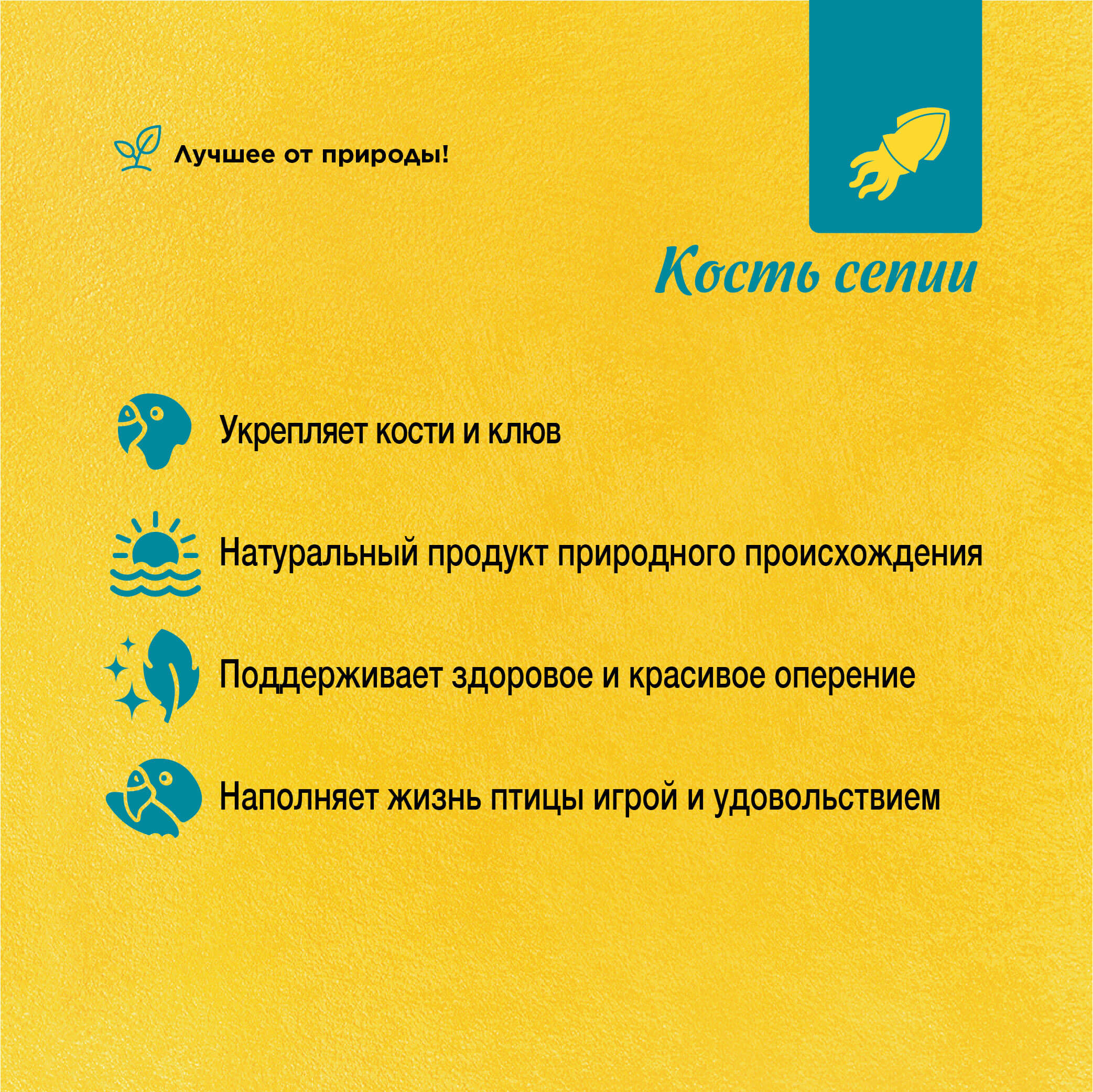 RIO_sepia shell_plus