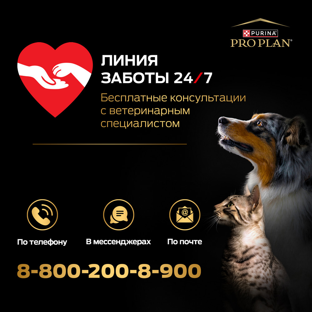 567a53cb-ba7a-4d9e-9282-1fb76a60829c (8)