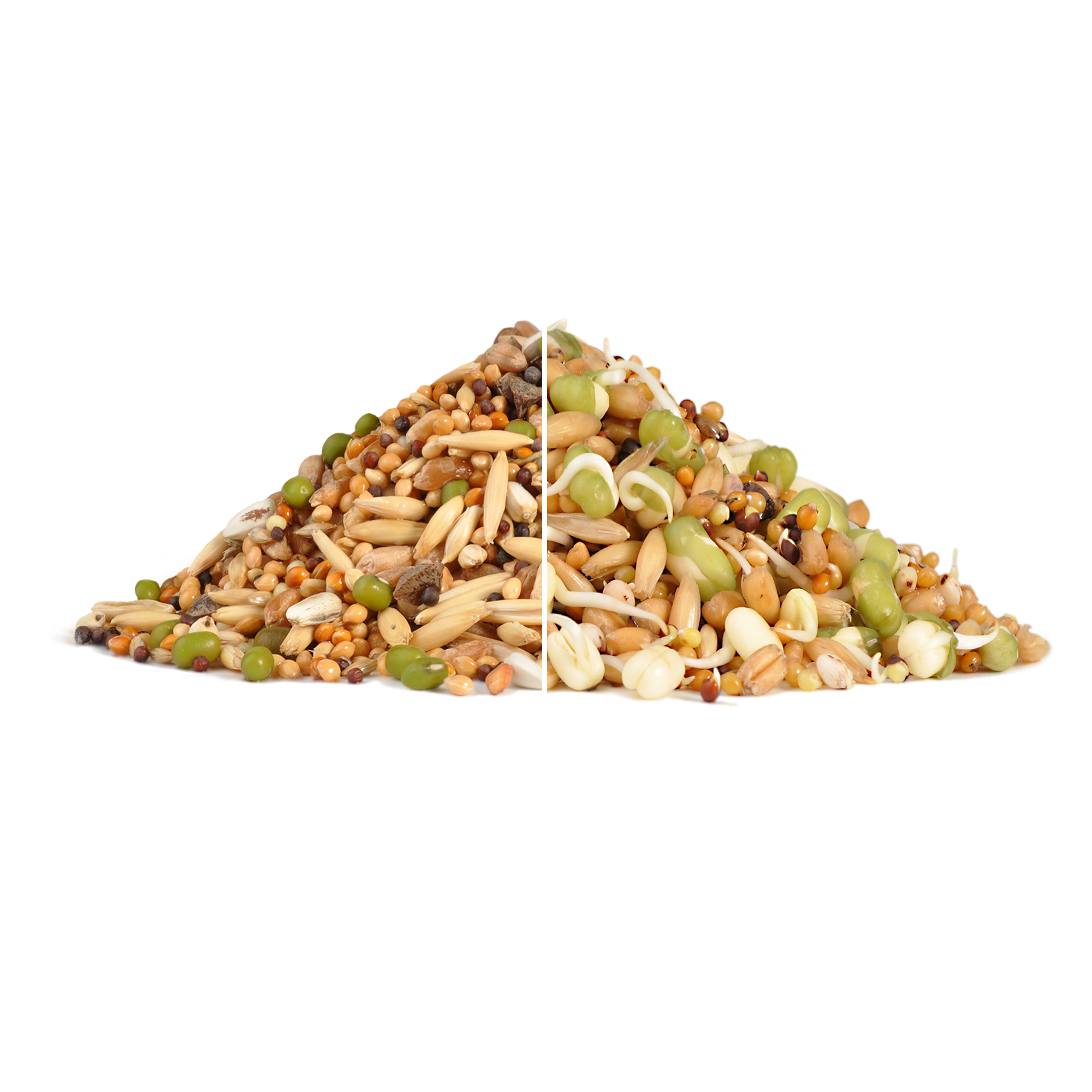 RIO_germination set_show