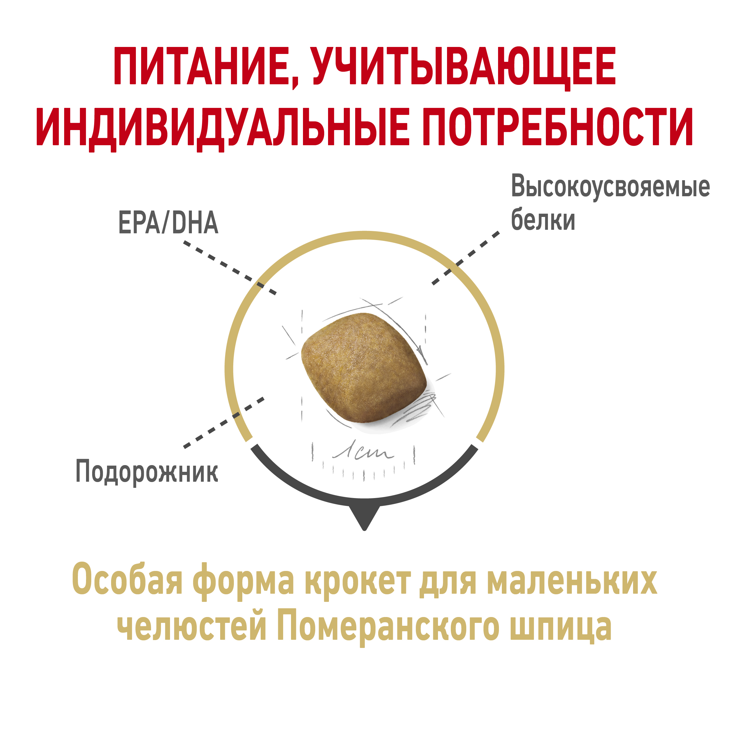 6_RC-SPT-DRY-PomAD_rus4