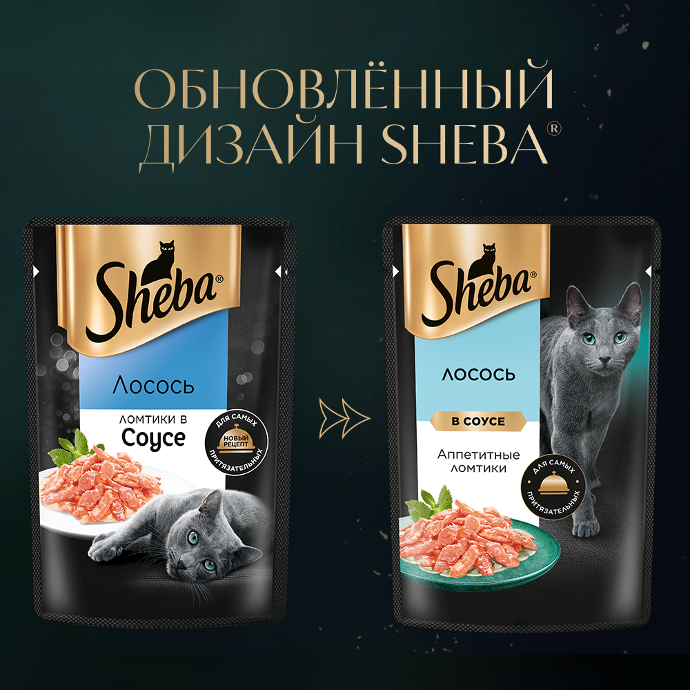sheba_лосось в соусе