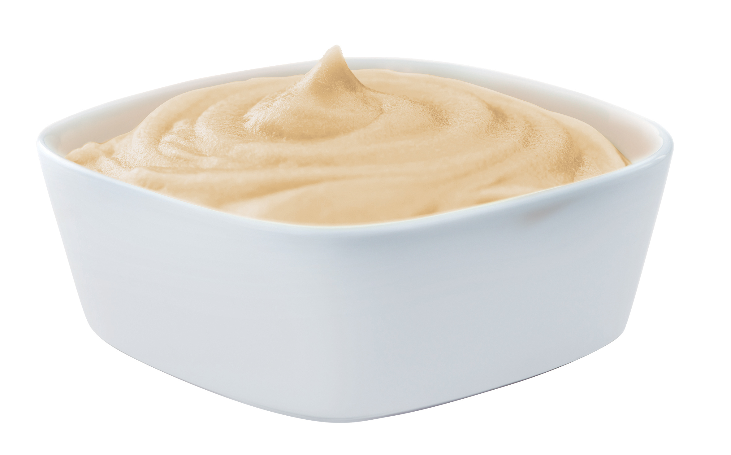 72588888-k-puree_shrimp