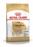 ad-chihuahua-packshot-bhn18