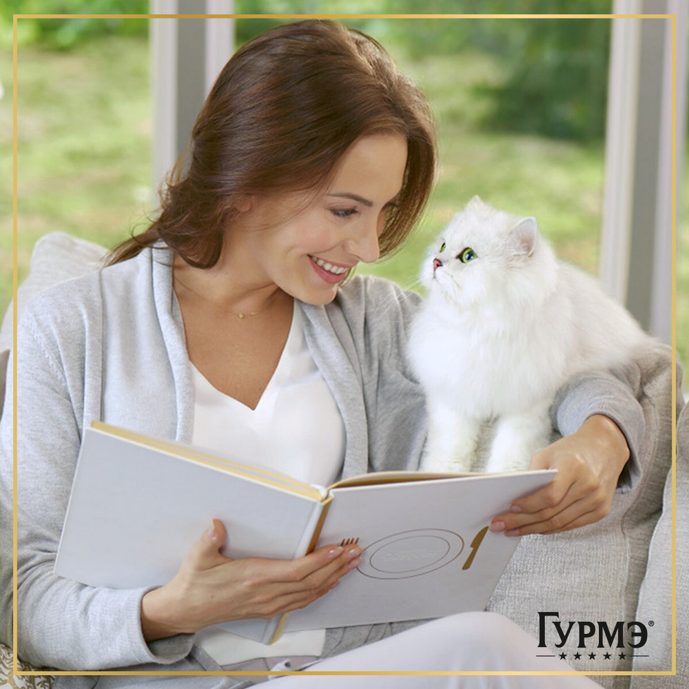 038658c6-3e9f-4756-9009-a4913973e2de