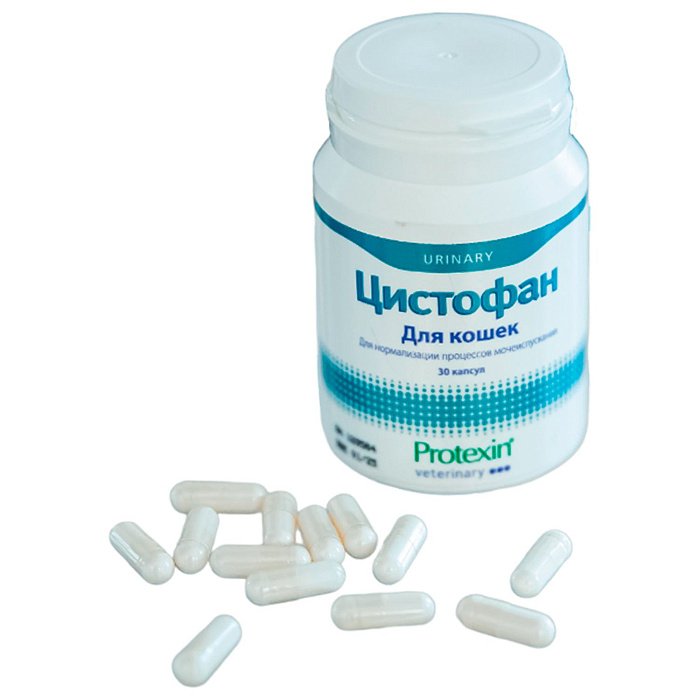 12b5fa9fce6fe292767f3fd374fbb5c6