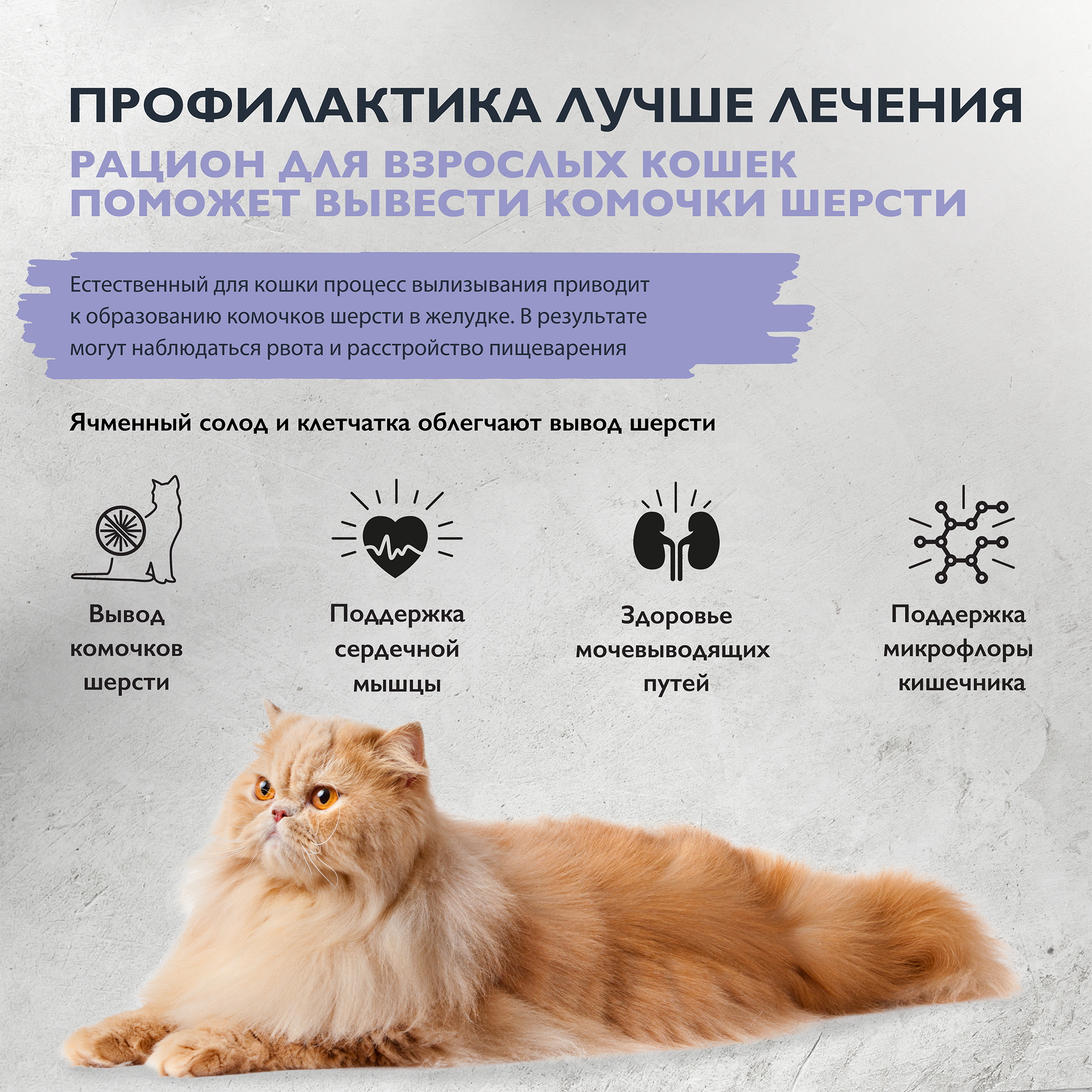 Pro Cat Выведение Шерсти Купить