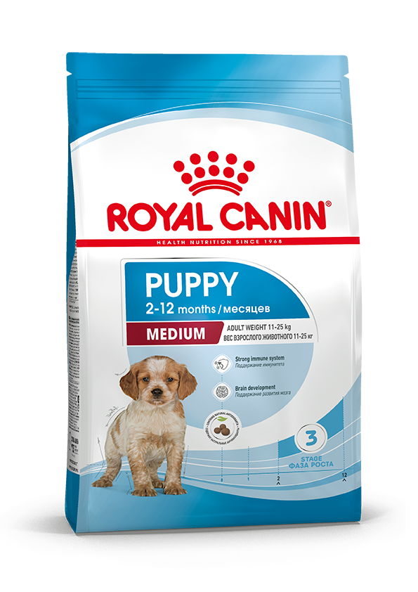 2m puppy (1) (1)